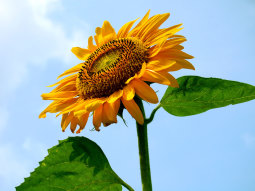 �q�}����